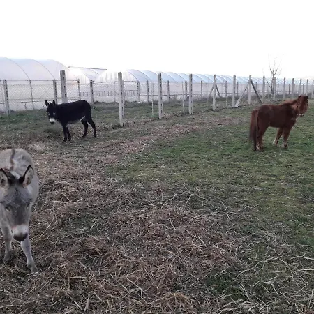 Farm stay Torre Cristina